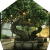 "Dirigible Plums" icon