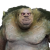"The Riparian Troll" icon