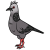 "Common Dove" icon