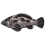 "Grouper Fish" icon