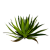"Aloe Leaves" icon