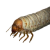"Fat Grub" icon