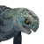 "Shaleback Hatchling" icon