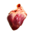 "Nekker heart" icon