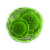 "Greater green mutagen" icon