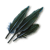 "Monster feather" icon