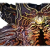 "King Beltharun" icon