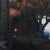 "The Dryads Forest Core" icon