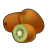 "Wild Kiwi" icon