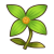 "Calmaryllis" icon