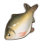 "Mysteria Crucian" icon