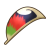 "Rainbow Feather" icon