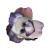 "Mutated Fern Flower" icon