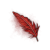"Brilliant Red Feather" icon