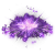 "Echo of Huang Yan" icon