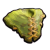 "Clover Poncho" icon