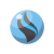 "Charizardite X" icon