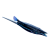 "Black Hoverthorn" icon