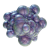 "Axum Bacterial Culture" icon
