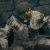 "Edgar" icon