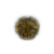 "Golden Rune [10]" icon