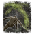 "Ash of War: Poison Moth Flight" icon