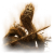 "Remembrance of the Blasphemous" icon