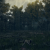 "Demi-Human Forest Ruins" icon
