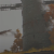 "Dominula, Windmill Village" icon