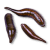 "Blood Leeches" icon