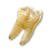 "Teeth" icon