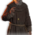 "Florin" icon