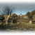 "Tantari Woods" icon