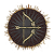 "Falcon Arrow" icon
