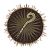 "Exalted Bolt" icon