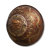 "Man-Serpent's Shield" icon