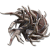 "Spiralhorn Shield" icon