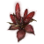 "Dragon's Calorbloom" icon