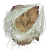 "Pest-Thread Spears" icon