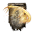 "Giant Golden Arc" icon
