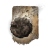 "Vortex of Putrescence" icon