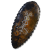 "Spiraltree Seal" icon
