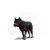 "Dogs" icon