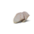"Loong Scales" icon