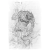 "Bull Governor" icon