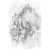 "Earth Wolf" icon
