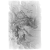 "Macaque Chief" icon