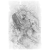 "Old Ginseng Guai" icon