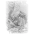 "Xu Dog" icon