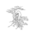 "Bodhisattva Lingji" icon